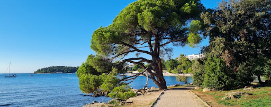 Park forest Zlatni Rt