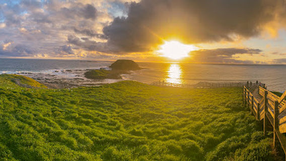 The Nobbies View Point