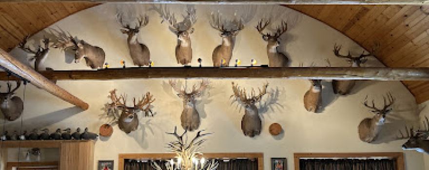 Wild Rivers Whitetails Hunting