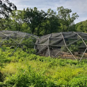 多摩動物公園
