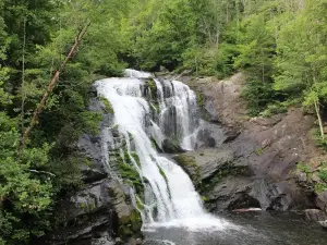 Cherokee National Forest