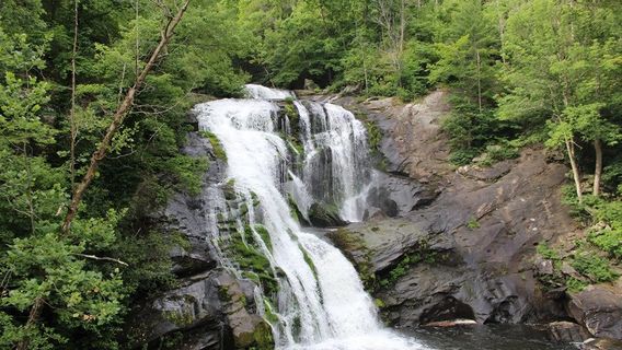Cherokee National Forest