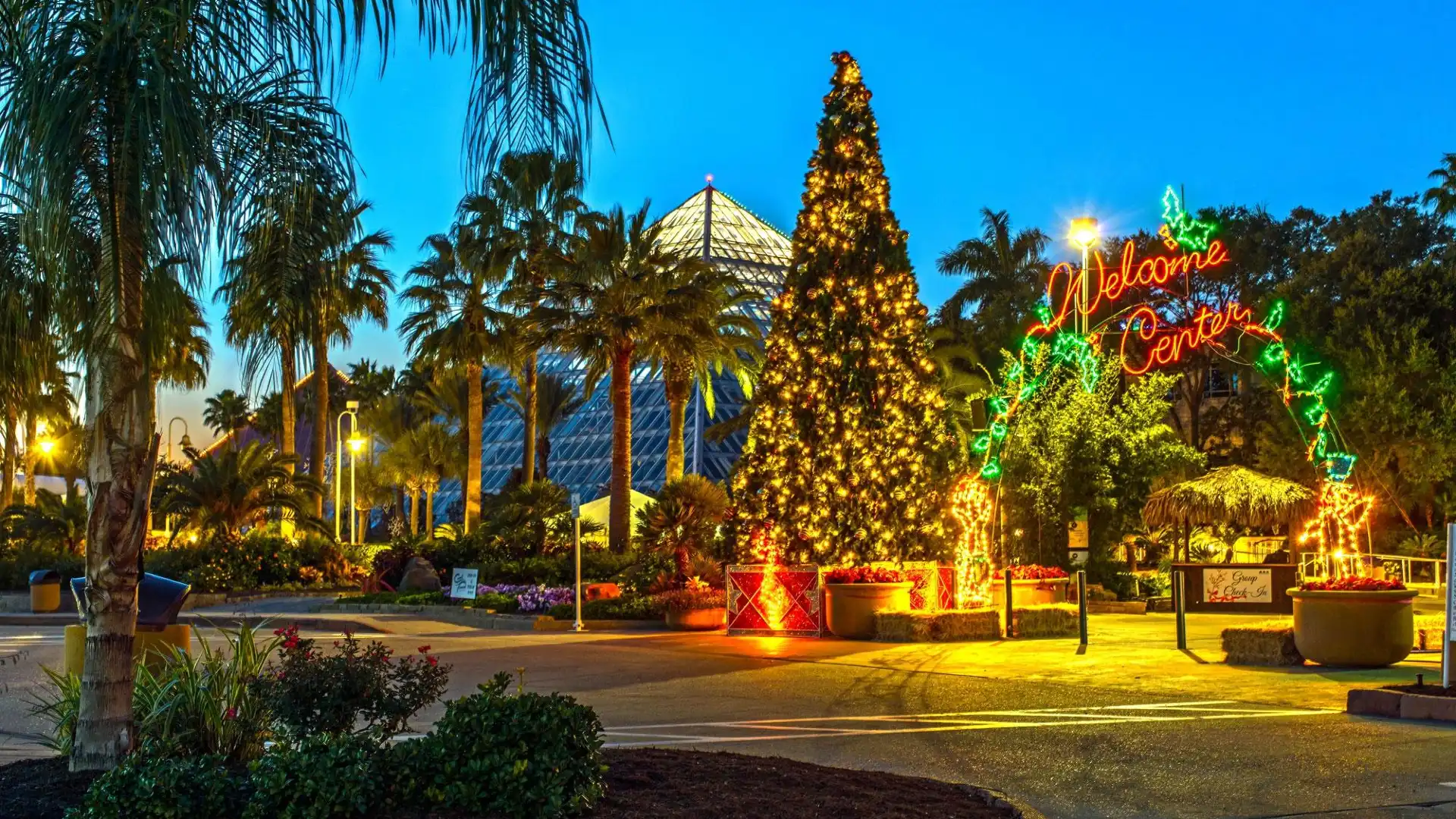 Hotels near Moody Gardens Attractions Theme Park