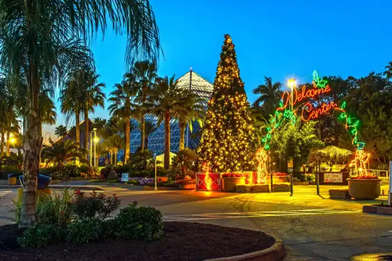 Hotels near Moody Gardens