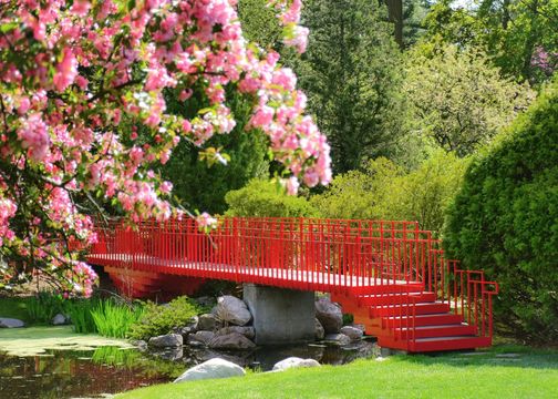 Dow Gardens and the Whiting Forest of Dow Gardens