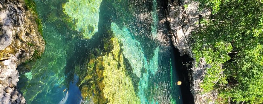 Cenote Azul