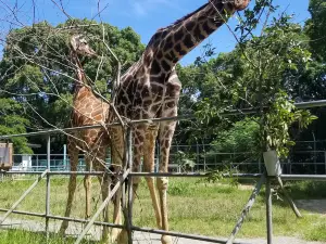 Omuta City Zoo
