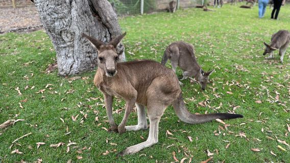 Urimbirra Wildlife Park