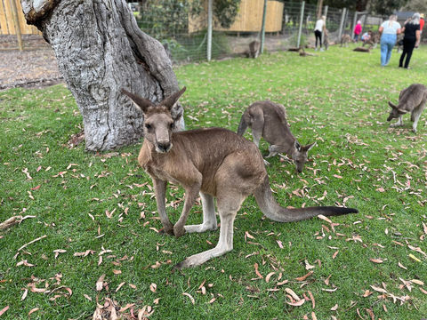 Urimbirra Wildlife Park