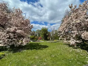 Botanischer Garten Linz