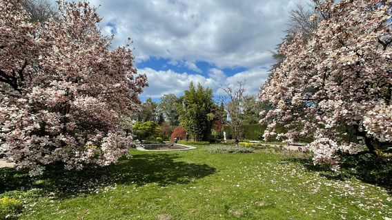 Linz Botanical Garden