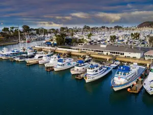 Dana Wharf Sportfishing & Whale Watching Dana Point