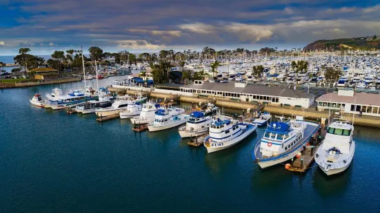 Dana Wharf Sportfishing & Whale Watching Dana Point