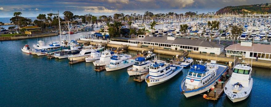 Dana Wharf Sportfishing & Whale Watching Dana Point