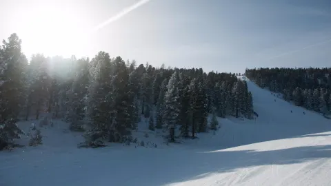 Kreischberg attraction in Styria