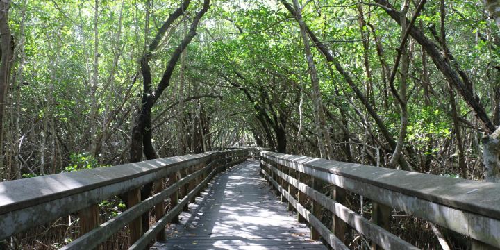 West Lake Trail