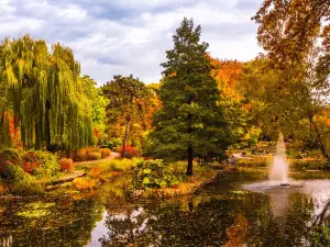 Giardini botanici dell'Università di Breslavia