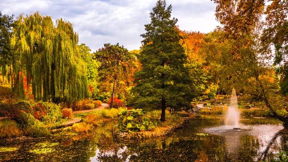 Botanical Garden of the University of Wrocław
