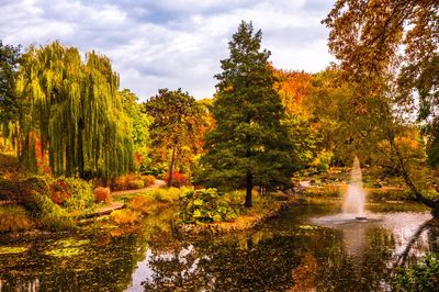 Botanical Garden of the University of Wrocław