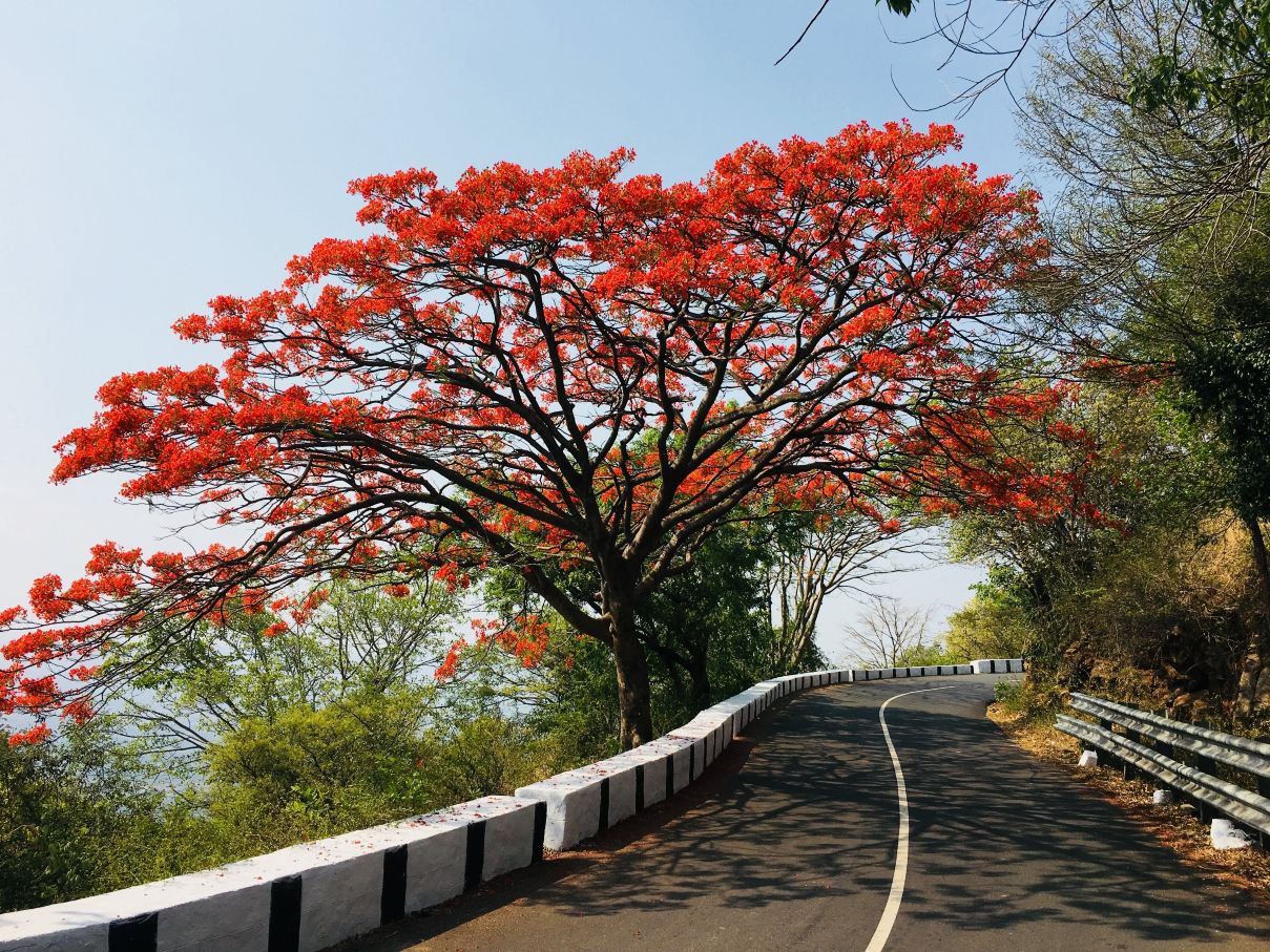 Compare 5 airports near Yelegiri