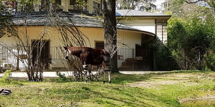 Zoo Basel