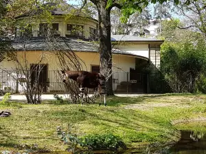 Zoo Basel