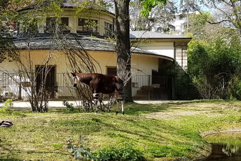Zoo Basel
