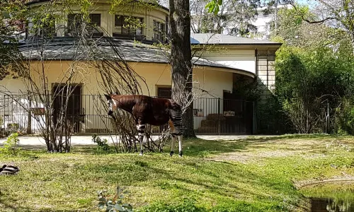 Zoo Basel