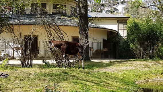 Zoo Basel
