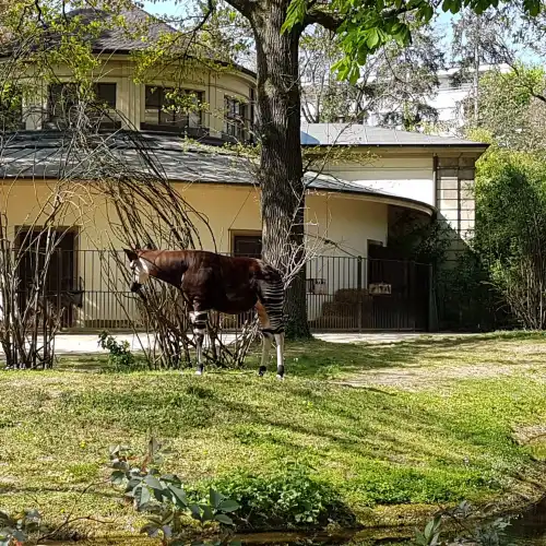 Zoo de Bâle