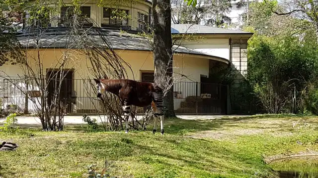 Hotels near Zoo Basel