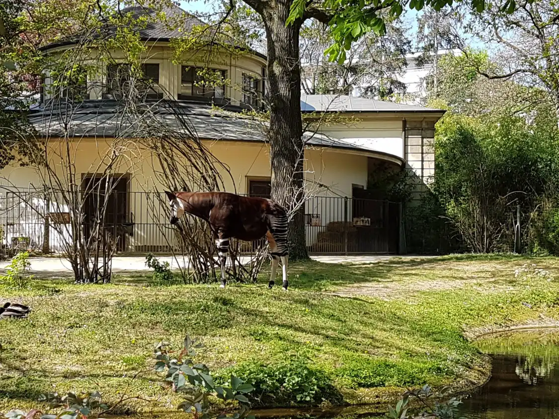 Hotels near Zoo Basel