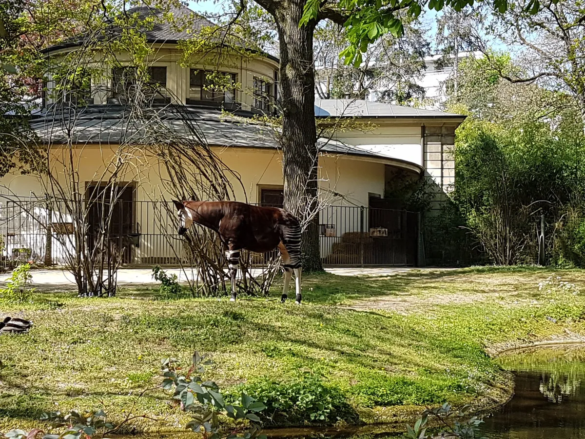 Zoo Basel