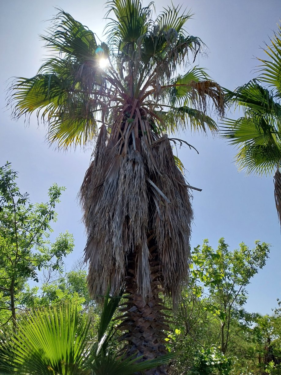 Cactus Park Tickets [2026] - Promos, Prices, Reviews & Opening Hours |  Trip.com