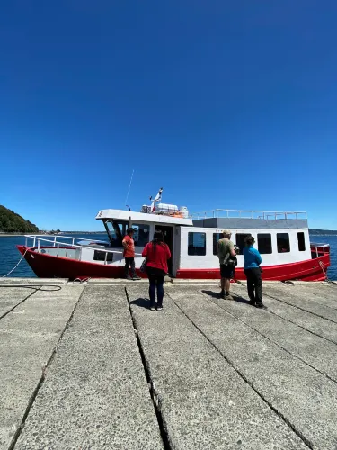 Chiloe Island Penguin Colony