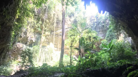 Macahambus Gorge