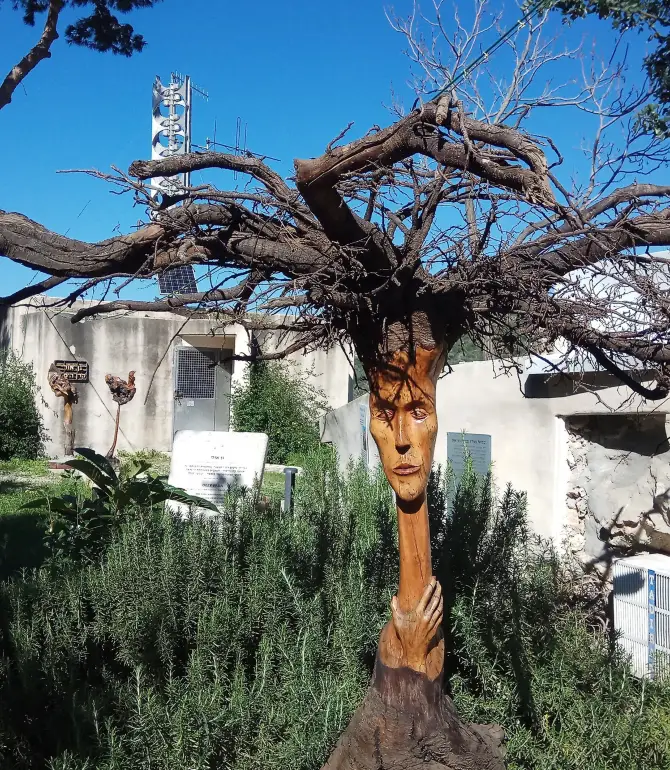 Ein Hod