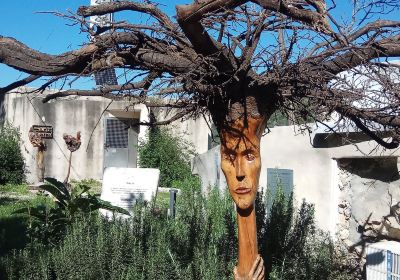 Ein Hod