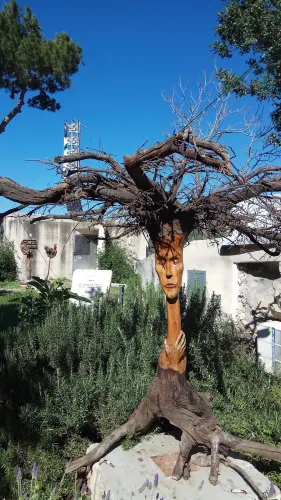 Ein Hod