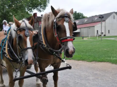 Landis Valley Village & Farm Museum