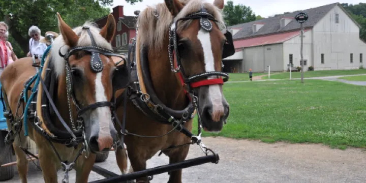 Landis Valley Museum