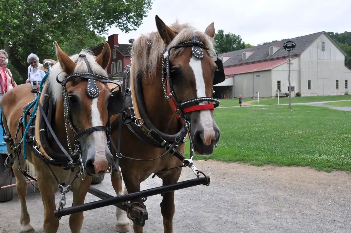 Hotels near Landis Valley Museum