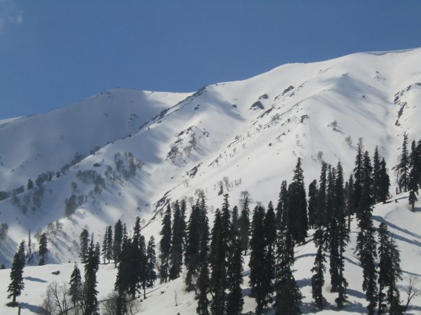 Ningle Nallah