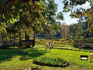 Treehouse Vineyards