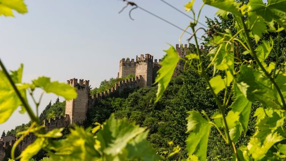 Rocca Sveva