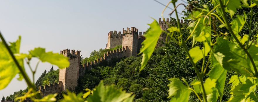 Rocca Sveva