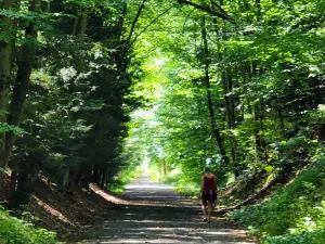 Swatara State Park