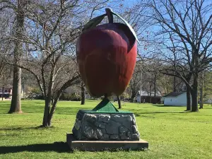 Sunrise Orchards, Inc.