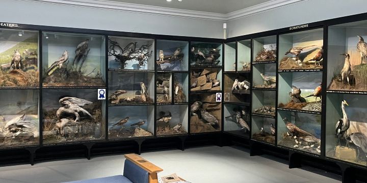 Tolson Memorial Museum