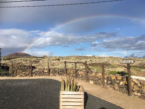 Finca Canarias Aloe Vera Gran Tarajal Tickets [2026] - Promos, Prices,  Reviews & Opening Hours | Trip.com
